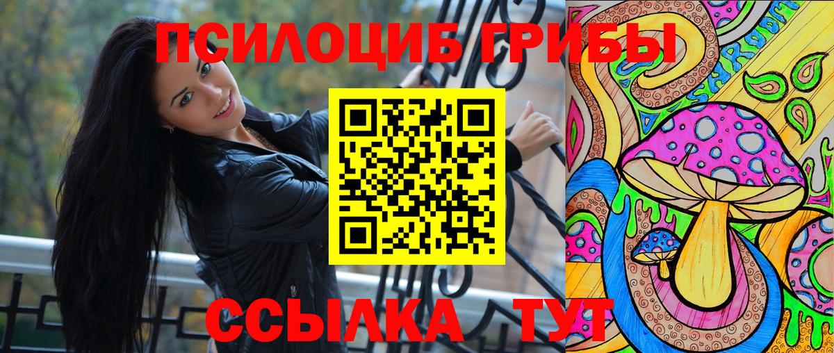 Псилоцибиновые грибы MAGIC MUSHROOMS Дмитров