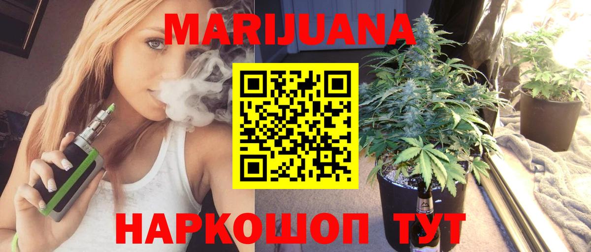 Бошки Шишки планчик Дмитров